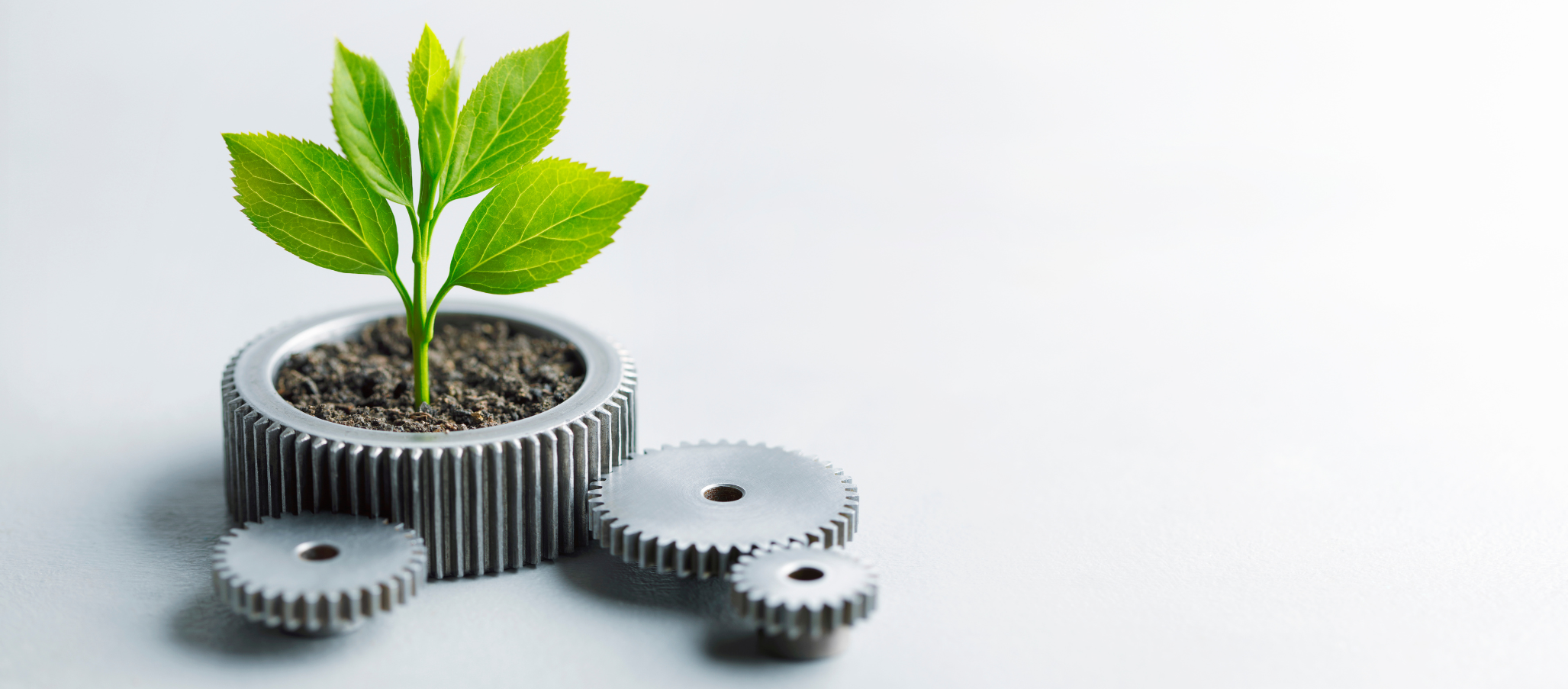 Quick Wins for Effective Sustainability Communications
