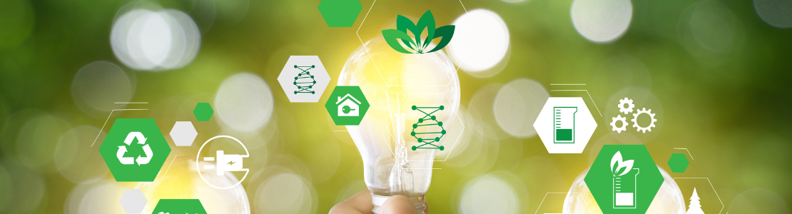 Sustainability in eCommerce: How Your Business Can Be a Catalyst for Real Change